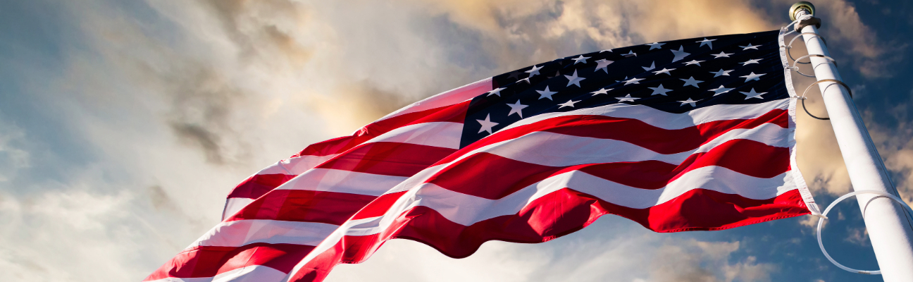 American Flag Blowing in the Wind